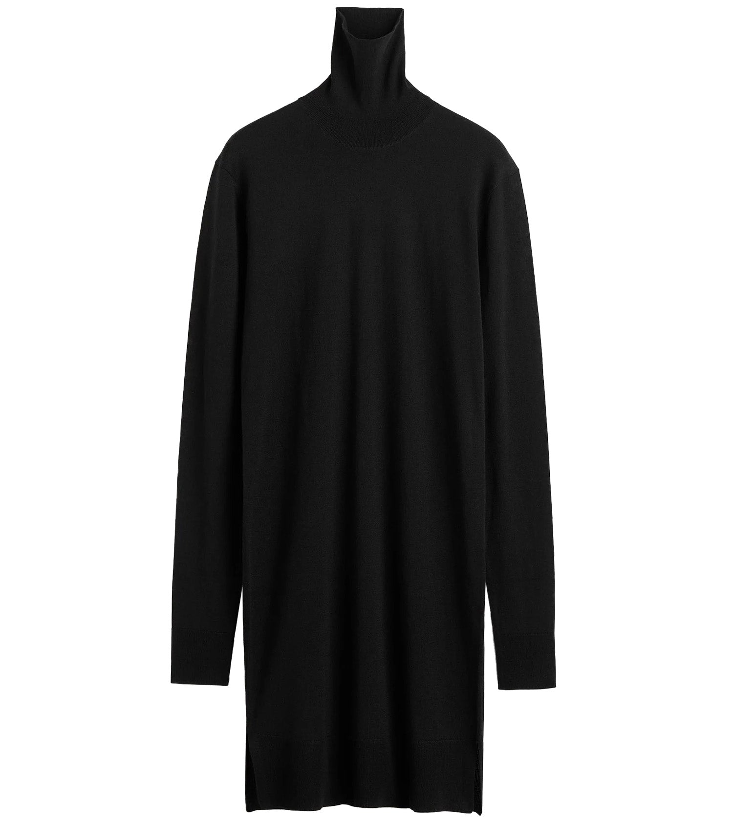 TOTEME Turtleneck Dress